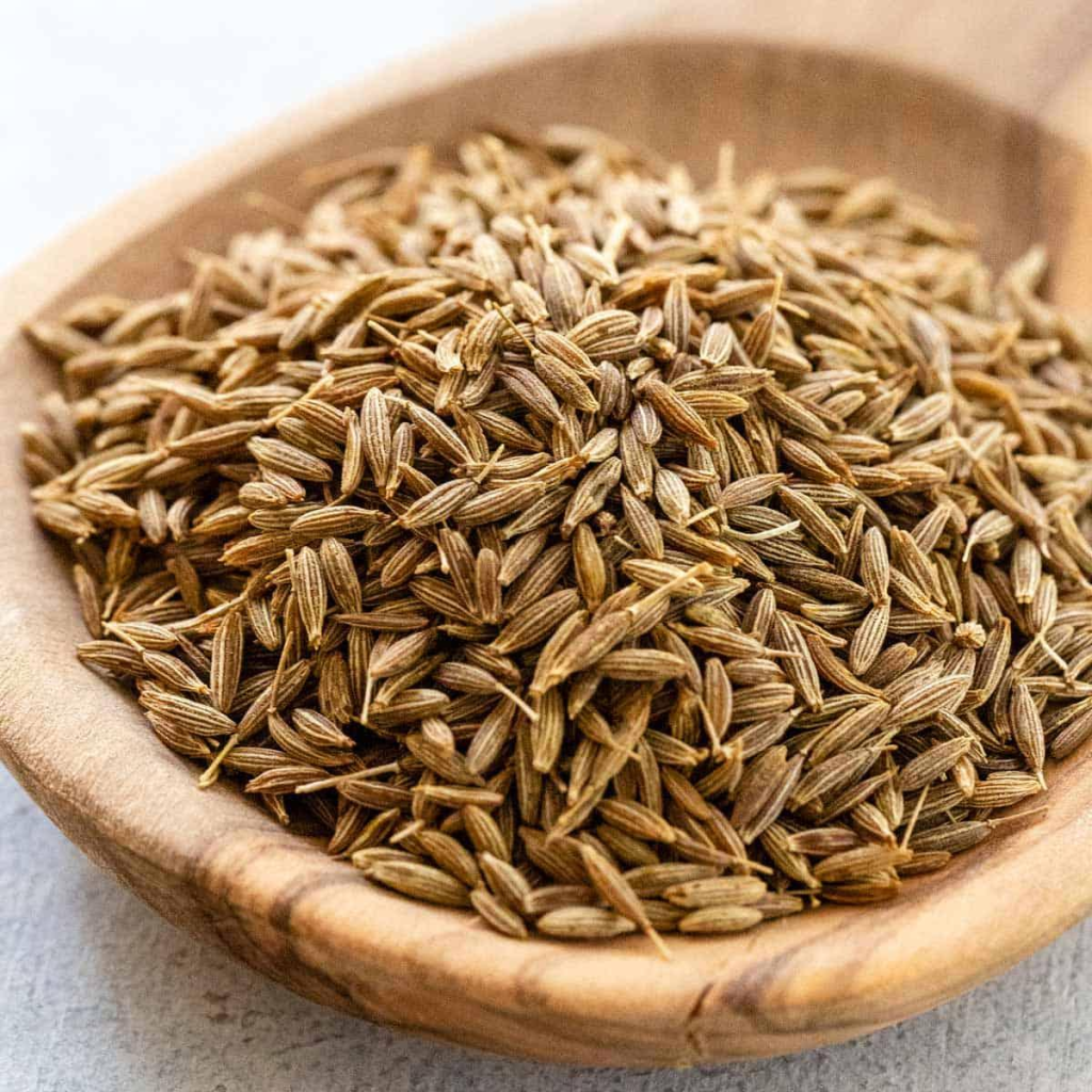 Cumin seeds used in Indian dishes