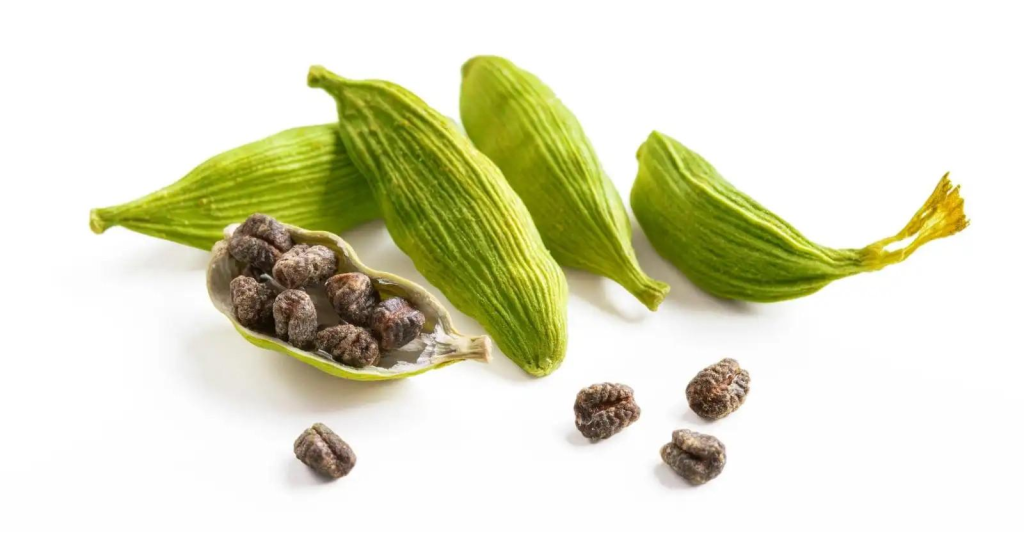 Green cardamom pods used in Indian tea and desserts